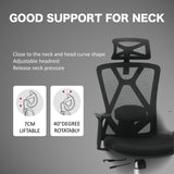 & Domo B31 Ergonomic Office Chair with 3 Way Armrests Lumbar Support and Adjustable