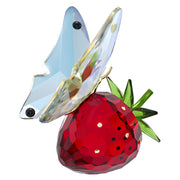 Idyllia Butterfly and Strawberry