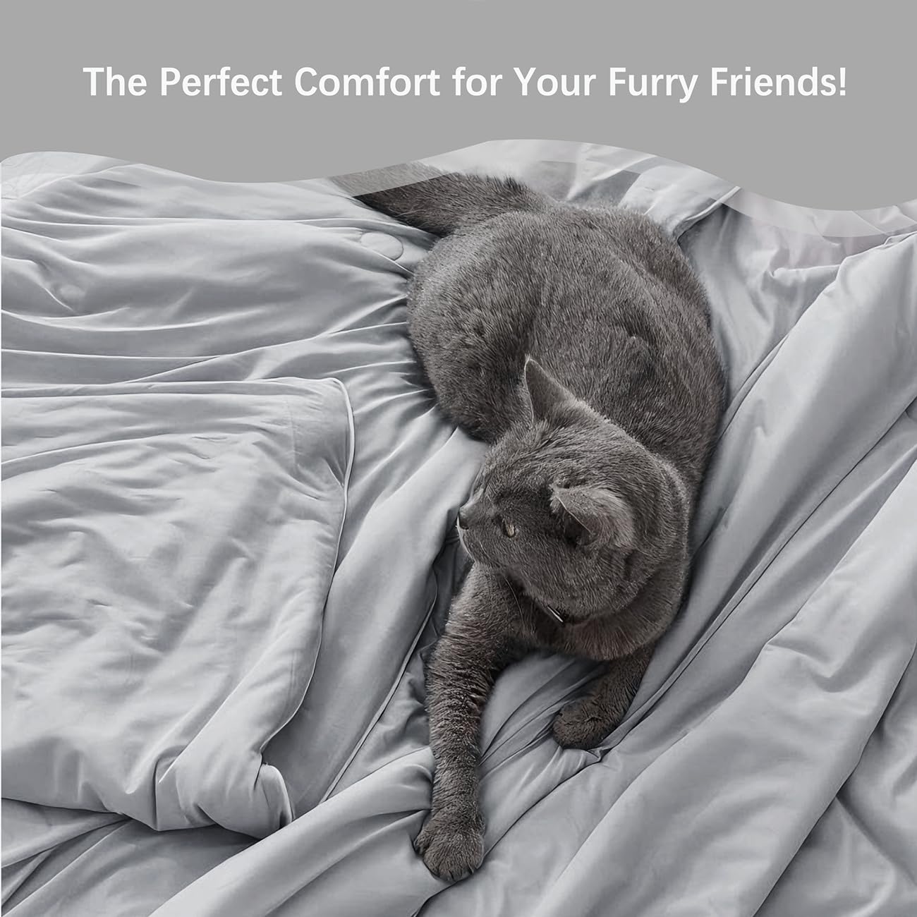 King Size Lightweight Comforter - Gray All Season