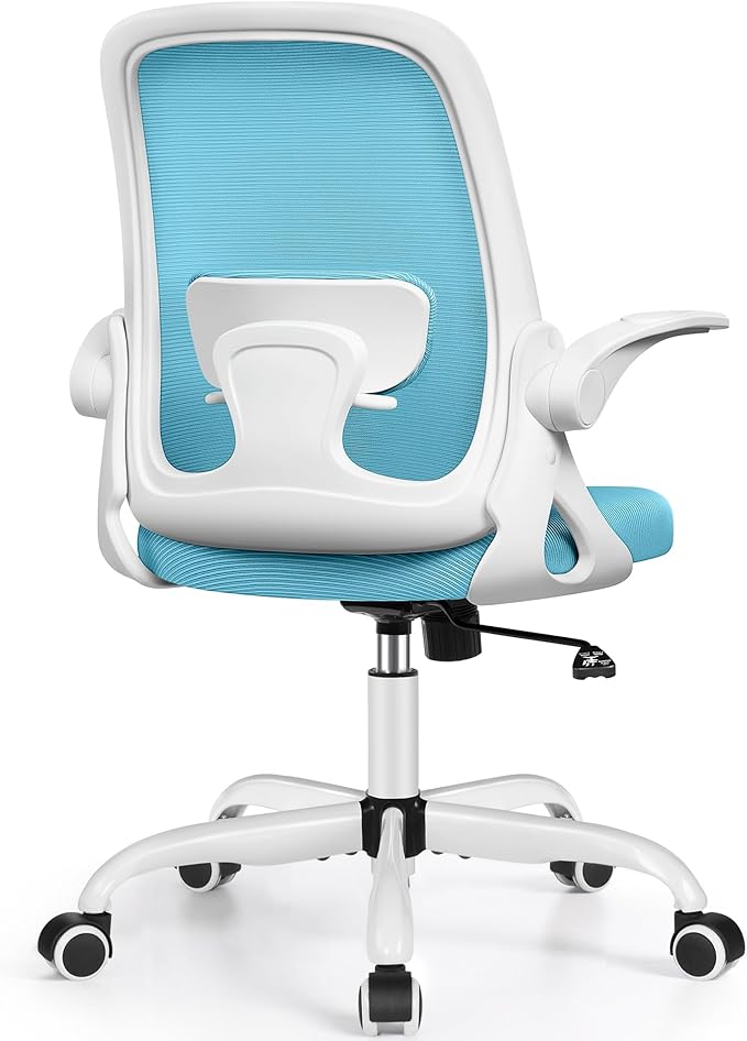 Office Chair Ergonomic Desk Chairs with Lumbar Support and Flip-up Arms, Comfortable