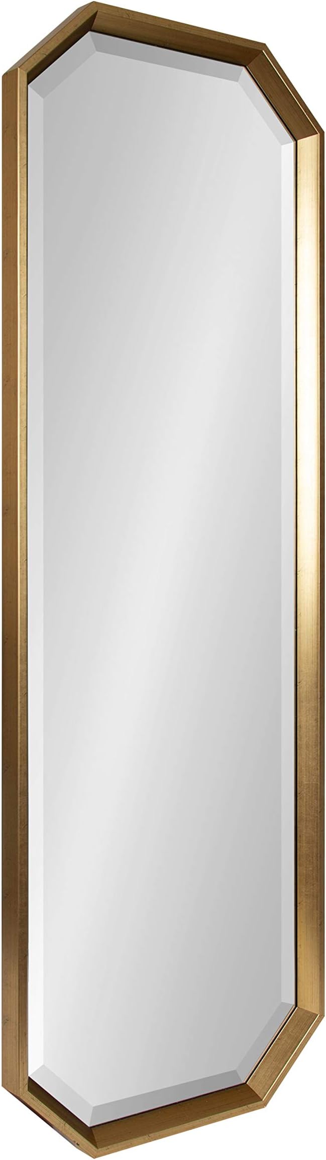 Calter Modern Full Length Framed Octagon Wall Mirror, 16 x 48.5, Gold