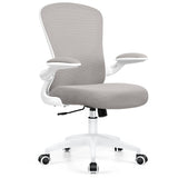 Ergonomic Office Chair, Lumbar Support Desk Chair and Height Adjustable Swivel Office