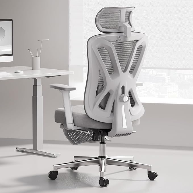 P5 Ergonomic Office Chair, Desk Chair with Adjustable Lumbar Support and Height