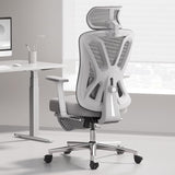 P5 Ergonomic Office Chair, Desk Chair with Adjustable Lumbar Support and Height