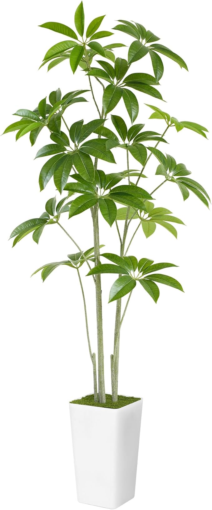 Aritificial Umbrella Schefflera Tree - 6Ft Tall Fake Plant with Realistic Leaves Faux