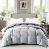 Down Comforter Queen Size, All Season Soft and Fluffy Duvet Insert, 50% Feather Fill Bed Comforters