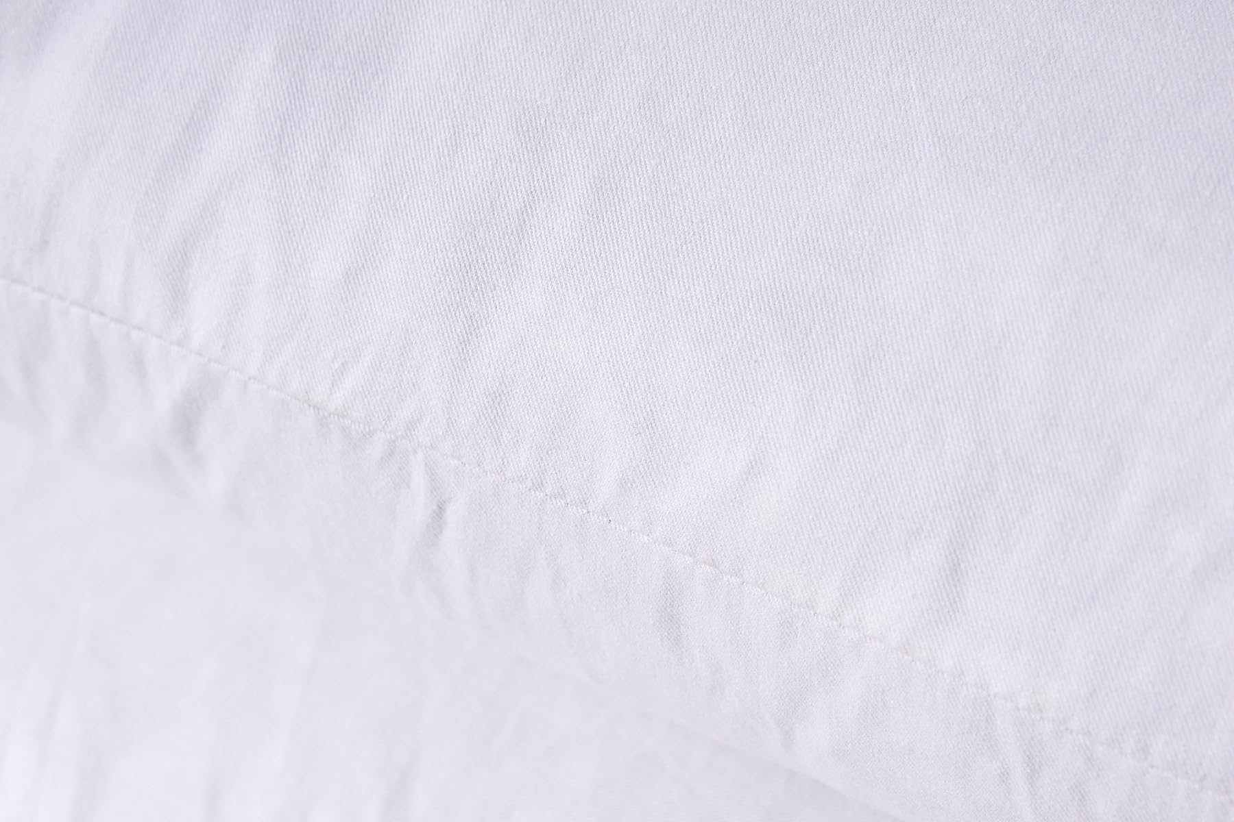 HOMESJUN Throw Couch Pillows Inserts, Set of 2 Down Feather Pillows Inserts Bed and Cotton Cover, 18x18 Inches