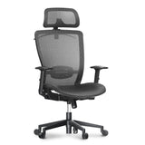 Ergonomic Office Chair, High Back Mesh Computer Chair, Comfy Home Office Desk Chairs with Lumbar Support