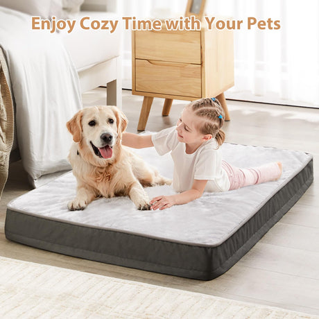 Orthopedic Dog Beds Large Sized Dog, Big Memory Foam Dog Bed Large