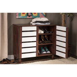 Gisela 2-Door Shoe Storage Cabinet, Brown (118-6518-HiT)