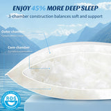 REDASW Canada Goose Down Bed Pillows 900 Fill Power Sleep Pillows with Soft 600 Thread Count 100% Cotton Pillowcase Bed Pillows for Any Sleepers (White, Queen (Pack of 2))
