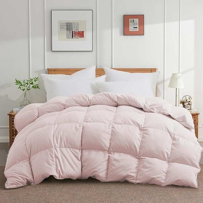 Queen Size Down Comforter - All Season Ultra Soft Goose Down & Feather Fiber Fill