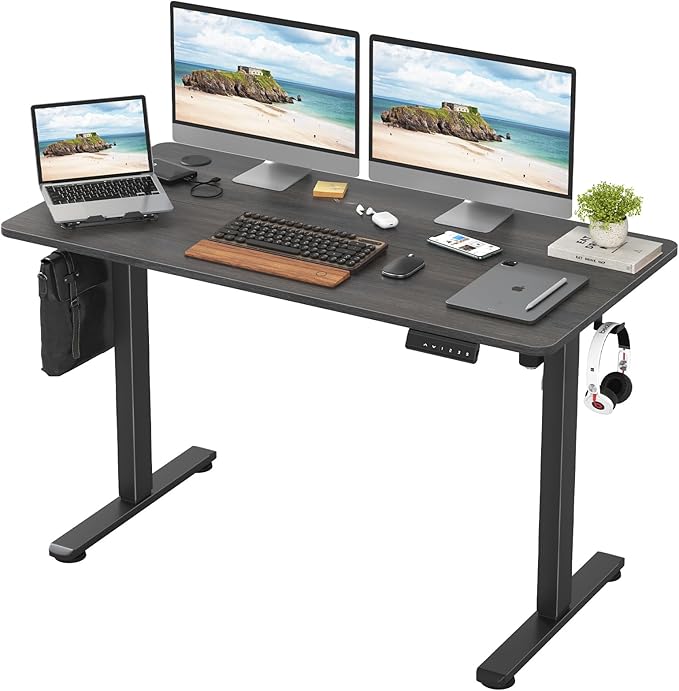 Electric Standing Desk with Memory Preset 48 x 24 Inches Sit Stand up Desk Adjustable Height Desk