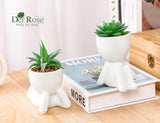 Set of 2 Fake Plants Artificial Succulent Plants for Office Desk Accessories Bathroom