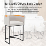 Counter 25" H Height Bar Stools Set of 2, Modern Barrel Bar Stool