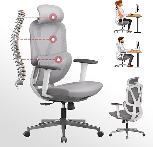 M2-MT Ergonomic Office Chair High Back Desk Chair with Large Elastic Adaptive Lumbar