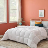 Reversible Down Alternative Comforter and Duvet Insert - All-Season Comforter