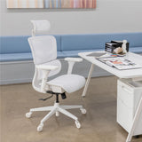 Prestige Ergonomic Office Chair - Height Adjustable Backrest Lumbar Support,