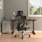 FlexFit Hyken Mesh Task Chair - Adjustable with Lumbar, Arm and Head Support,