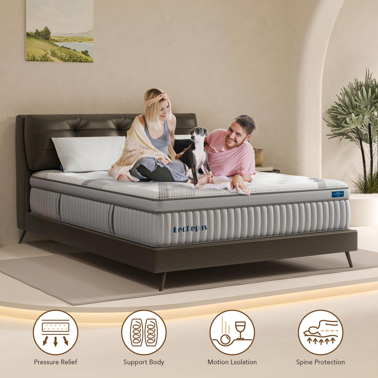 Queen Mattress, Lechepus 14Inch Medium Plush Queen Size Mattress in Box