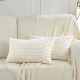 2 Packs Boho Cream Decorative Throw Pillow