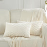 2 Packs Boho Cream Decorative Throw Pillow