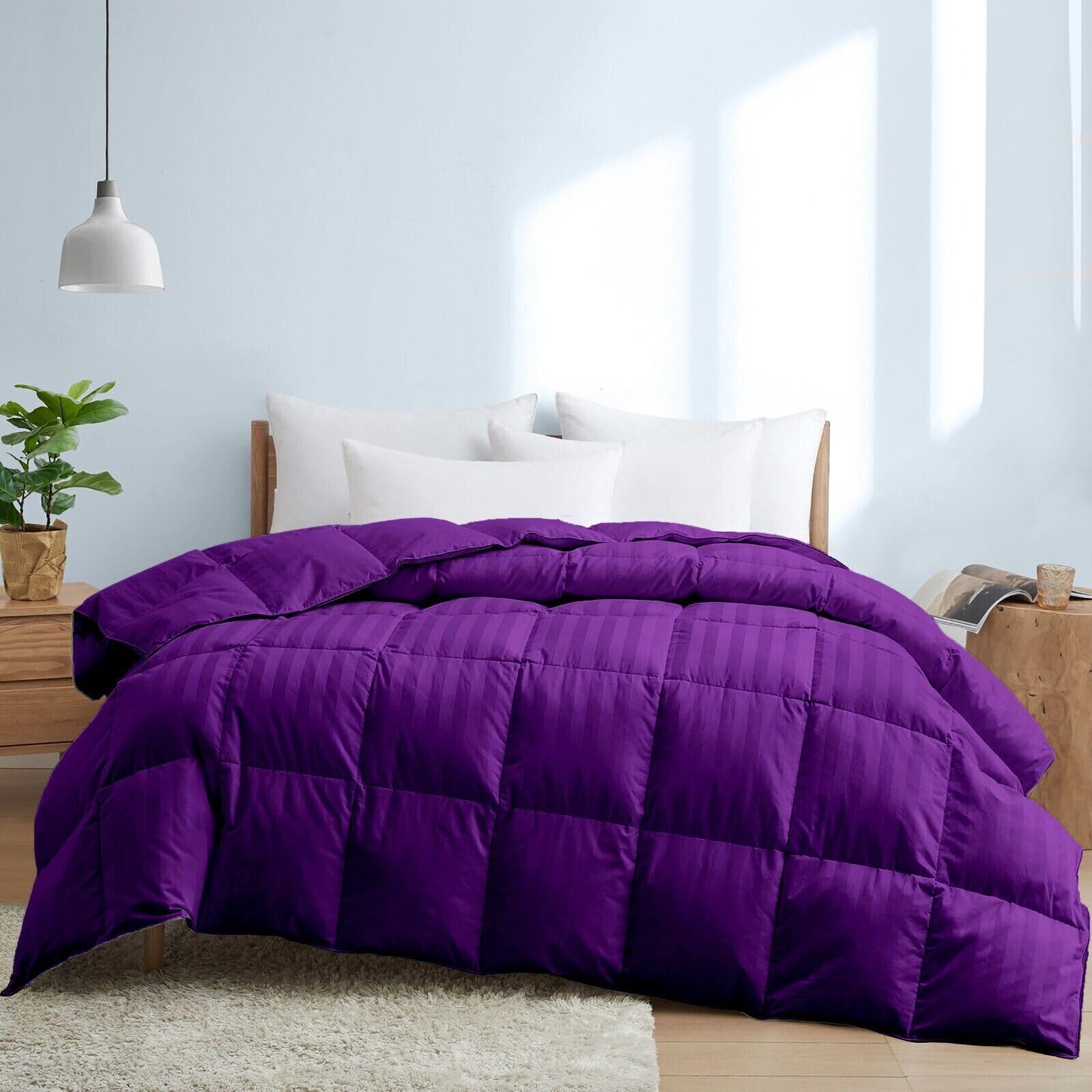Premium 1000 Thread Count Alaskan King Size 1 Piece Comforter (500GSM Fiber Fill) Purple