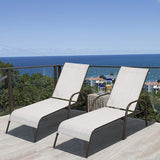 2 Pack Patio Lounge Chair, Outdoor Chaise Lounge with 5 Adjustable Backrest