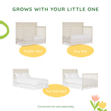 Bayfield 5-in-1 Convertible Crib in Glazed Brush White, JPMA, and Greenguard Gold