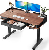 Electric Standing Desk Whole-Piece Desktop 48 x 24 Inches Height Adjustable Desk