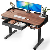 Electric Standing Desk Whole-Piece Desktop 48 x 24 Inches Height Adjustable Desk