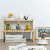 Natural Bamboo Indoor Plant Stand for Desk, 2 Tier Desktop Shelf Organizer Rack