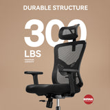 Ergonomic Office Chair, Desk Chair with 2'' Adjustable Lumbar Support, Headrest,