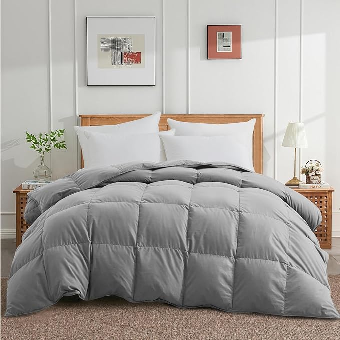 Queen Size Down Comforter - All Season Ultra Soft Goose Down & Feather Fiber Fill