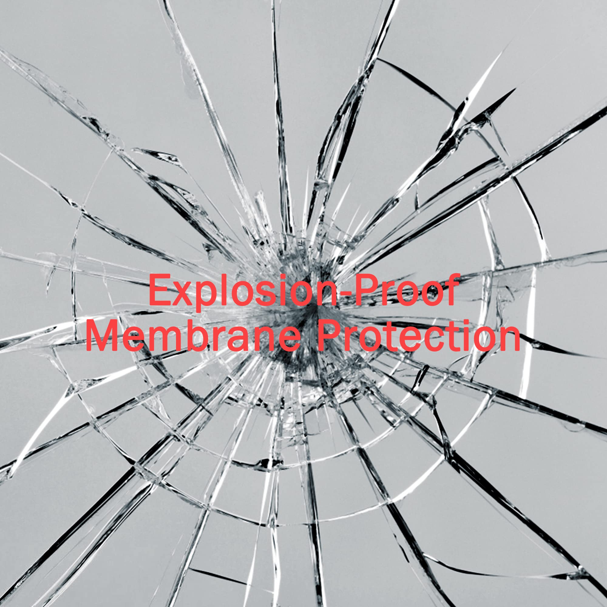 14x48 Inch Full Length Wall Mirror - Black Rectangular Frame