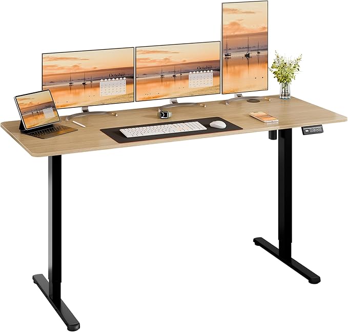 Height Adjustable Electric Standing Desk, Adjustable Desk Standing Desk