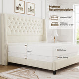 Queen Upholstered Bed Frame with 55" Tufted Headboard - Platform Bed, No Box Spring Needed