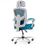 Ergonomic Mesh Office Chair with Lumbar Support Pillow & Retractable Footrest