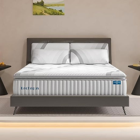 Queen Mattress, Lechepus 14Inch Medium Plush Queen Size Mattress in Box