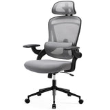 Office Chair, High Back Desk Chair with Adjustable Lumbar Support & Headrest,