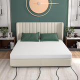 12 Inch Gel Memory Foam Mattress/Bed-in-a-Box/Bed Mattress/Medium Firm Mattress