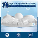 AiAngu Canadian Luxury Goose Down Pillow Queen Size - 900 Fill Power, 100% Cotton with Teflon Shell- Ultra Comfort Sleep Pillows - Bed Pillows for Back, Stomach, Side Sleeper(White,Queen(Pack of 1))
