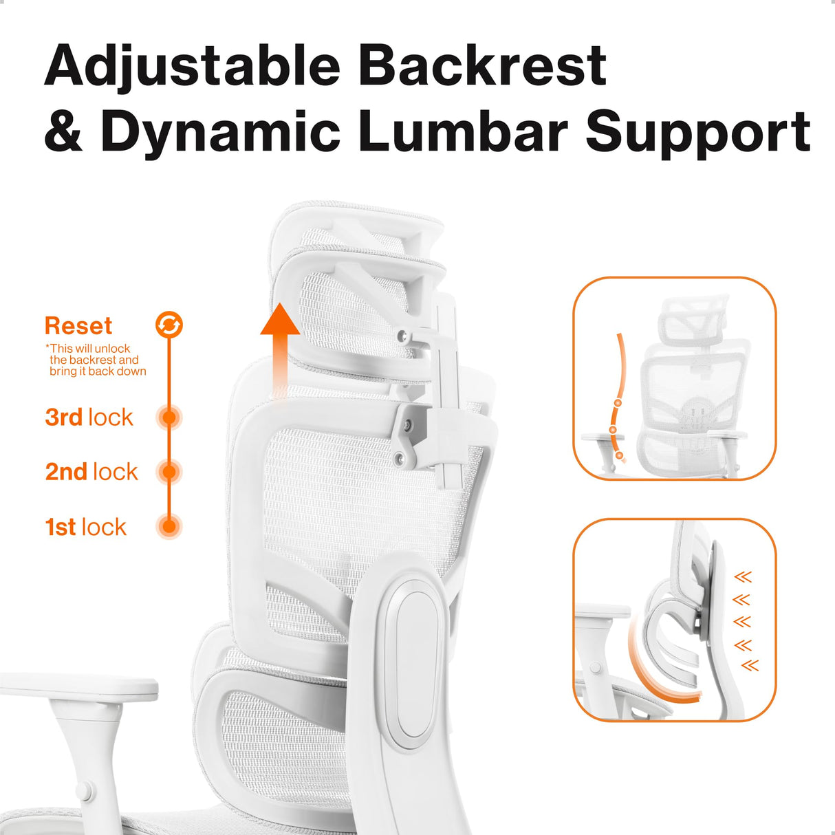 Prestige Ergonomic Office Chair - Height Adjustable Backrest Lumbar Support,