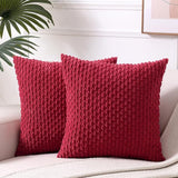 2 Packs Boho Cream Decorative Throw Pillow