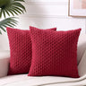 2 Packs Boho Cream Decorative Throw Pillow