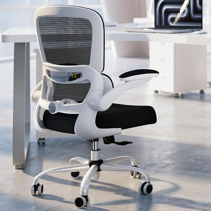 Office Chair - Ergonomic Desk Chair with Adjustable Lumbar Support, Mesh Computer