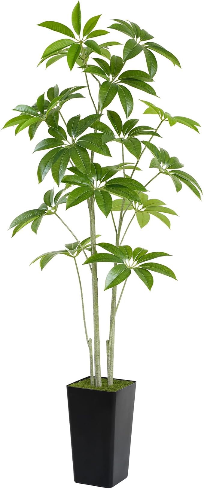 Aritificial Umbrella Schefflera Tree - 6Ft Tall Fake Plant with Realistic Leaves Faux