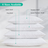 White Goose Feather Bed Pillows Queen/Standard Size Set of 1- Soft 600 Thread Count