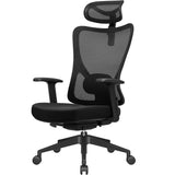 Ergonomic Mesh Office Chair with High Back & Adjustable Headrest & Lumbar Support