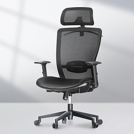 Ergonomic Office Chair, High Back Mesh Computer Chair, Comfy Home Office Desk Chairs with Lumbar Support